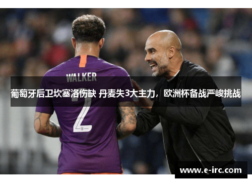 葡萄牙后卫坎塞洛伤缺 丹麦失3大主力，欧洲杯备战严峻挑战